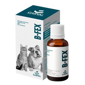 B-FEX